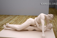 Kamasutra position 10-85