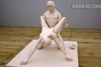 Kamasutra position 12-40
