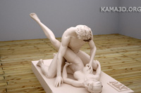 Kamasutra position 14-55
