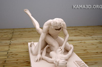 Kamasutra position 14-50
