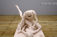 Kamasutra position 14-45