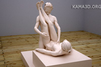 Kamasutra position 19-55