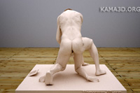 Kamasutra position 2-135