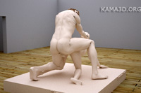 Kamasutra position 2-120