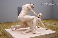 Kamasutra position 2-105
