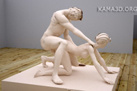Kamasutra position 2-80