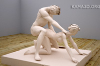 Kamasutra position 2-75