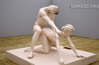 Kamasutra position 2-65
