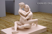 Kamasutra position 20-110