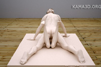 Kamasutra position 6-135