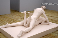 Kamasutra position 6-110