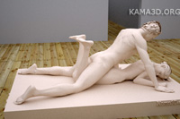 Kamasutra position 6-95