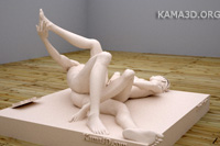 Kamasutra position 7-120