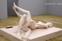 Kamasutra position 7-110