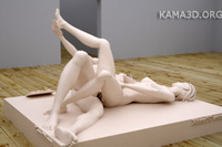 Kamasutra position 7-105