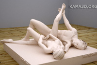 Kamasutra position 7-60