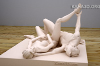 Kamasutra position 7-40