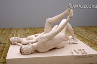 Kamasutra position 7-5