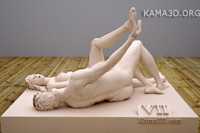 Kamasutra position 7-0